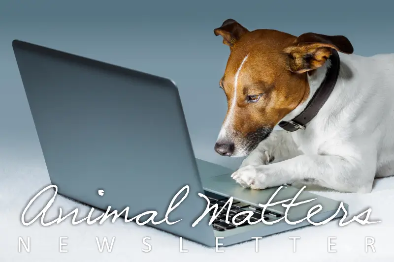 View Animal Matters Newsletter