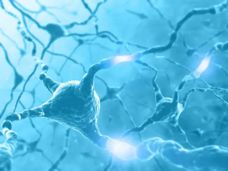 Neurological Integration System (NIS)