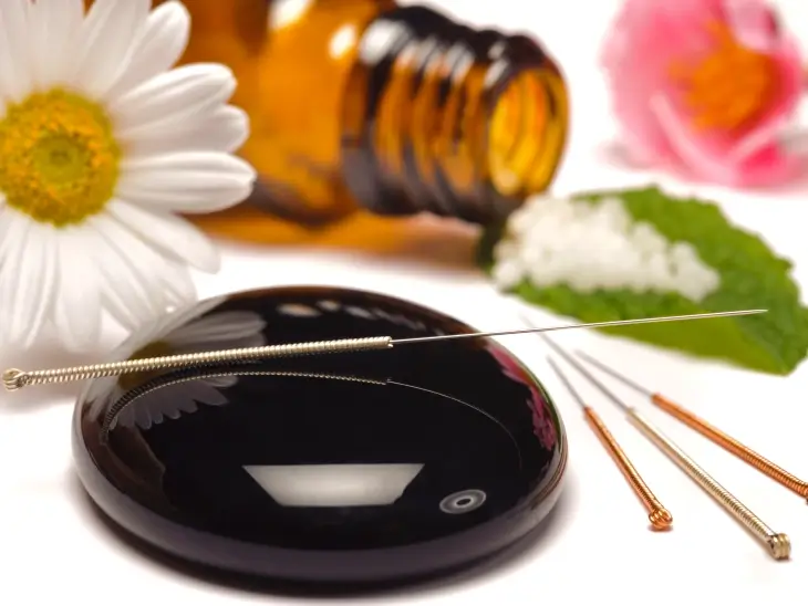 Traditional Chinese Veterinary Medicine (TCVM) and Food Therapy