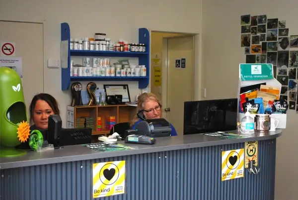 Holistic Vets