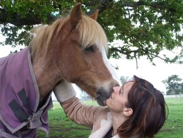 Pippi Rolfe