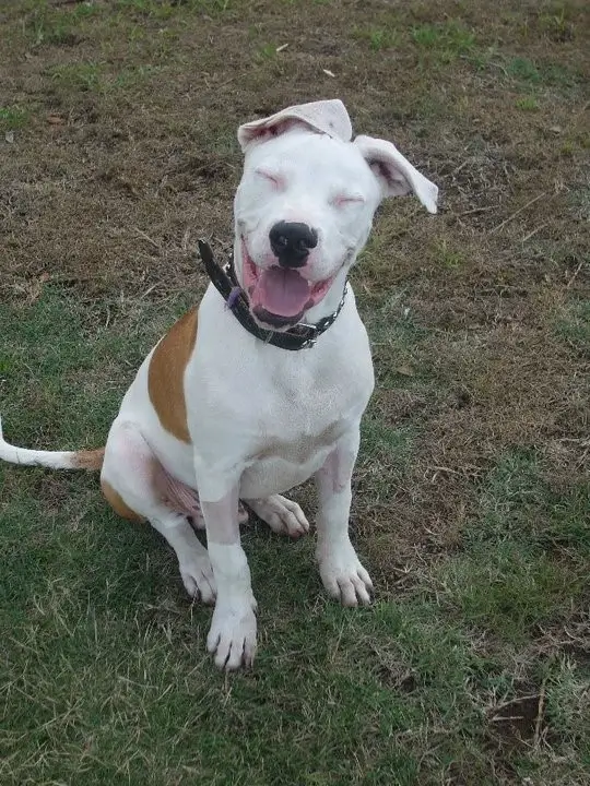Tyson